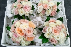 True Colors Florist-59